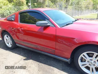 2010 Ford Mustang V6 с VIN 1ZVBP8AN7A5135555, выставлен на аукционе IAAI как лот 42065460 с пробегом 154 015 миль миль и . История ставок и продаж доступна на DreamBid. Изображение 13.