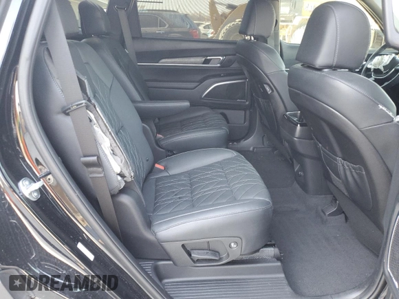 2024 Kia Telluride SX X-Line with VIN 5XYP5DGCXRG502514, listed as a Copart auction lot 48963985 with 20,560 mi miles and Salvage Title. Bid and sale history available at carsss.com. Image 12.