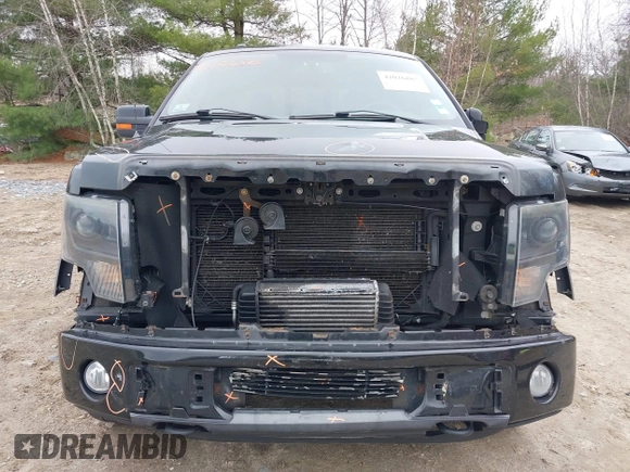 2013 Ford F-150 XL with VIN 1FTFW1ET0DFA97592, listed as a IAAI auction lot 42026885 with 165,091 mi miles. Bid and sale history available at carsss.com. Image 12.