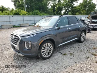 2020 Hyundai Palisade Limited with VIN KM8R5DHE8LU104583, listed as a Copart auction lot 58977595 with Not provided miles and Salvage title. Bid and sale history available at DreamBid. Image 1.