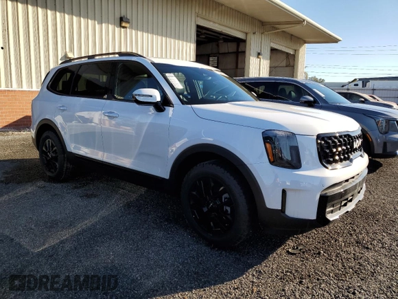 2024 Kia Telluride SX X-Line with VIN 5XYP5DGC6RG508522, listed as a Copart auction lot 81032314 with 14 mi miles and Salvage Title. Bid and sale history available at carsss.com. Image 4.