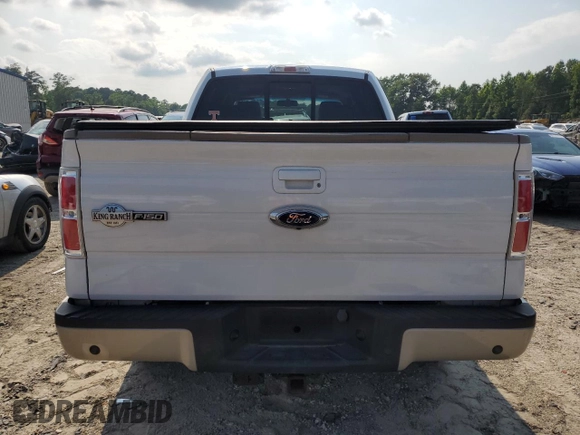 2009 Ford F-150 XL with VIN 1FTPW14V99KB33415, listed as a Copart auction lot 60546565 with 96,602 mi miles and Salvage title. Bid and sale history available at DreamBid. Image 6.