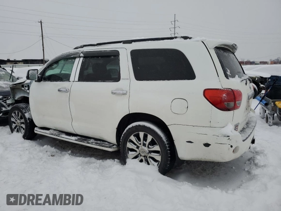 2010 Toyota Sequoia Ltd with VIN 5TDJW5G19AS028120, listed as a Copart auction lot 41635315 with 213,883 mi miles and Salvage Title. Bid and sale history available at carsss.com. Image 2.