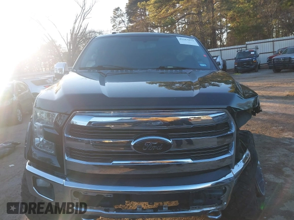 2016 Ford F-150 XLT with VIN 1FTEW1EF3GKF16634, listed as a IAAI auction lot 41263672 with 122,390 mi miles. Bid and sale history available at carsss.com. Image 12.