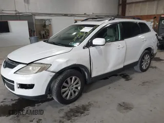 2009 Mazda CX-9 Touring with VIN JM3TB38V590164986, listed as a IAAI auction lot 42171833 with 258,565 mi miles and . Bid and sale history available at DreamBid. Image 2.