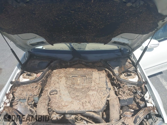 2008 Mercedes-Benz CLK 350 с VIN WDBTJ56H28F253753, выставлен на аукционе IAAI как лот 42525405 с пробегом Не указан миль и . История ставок и продаж доступна на DreamBid. Изображение 10.