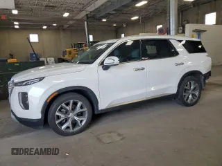 2020 Hyundai Palisade SEL with VIN KM8R4DHE6LU079976, listed as a Copart auction lot 58376805 with 88,151 mi miles and Non repairable. Bid and sale history available at DreamBid. Image 1.