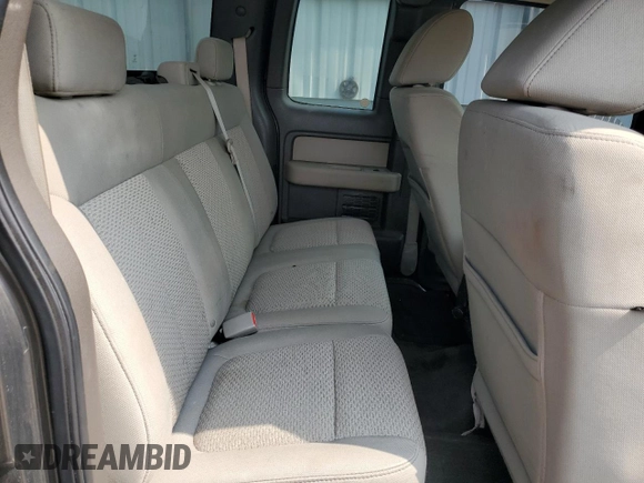 2009 Ford F-150 STX with VIN 1FTRX14849FA73732, listed as a Copart auction lot 59317545 with 162,744 mi miles and Salvage title. Bid and sale history available at DreamBid. Image 10.
