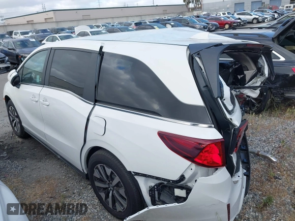 2025 Honda Odyssey EX-L with VIN 5FNRL6H61SB005819, listed as a IAAI auction lot 41731323 with Not Provided miles and . Bid and sale history available at DreamBid. Image 3.