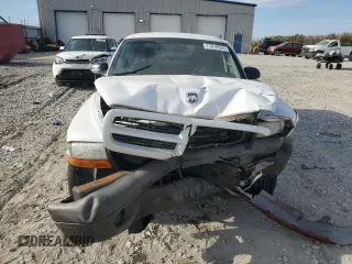 2003 Dodge Dakota with VIN 1D7FL16XX3S353971, listed as a Copart auction lot 77018554 with 0 mi miles and Salvage Title. Bid and sale history available at carsss.com. Image 5.