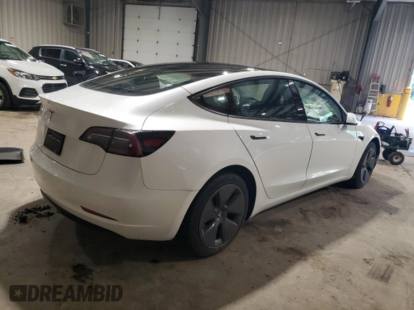 2023 Tesla Model 3 with VIN 5YJ3E1EA6PF588701, listed as a Copart auction lot 61446355 with Not provided miles and Salvage title. Bid and sale history available at DreamBid. Image 3.