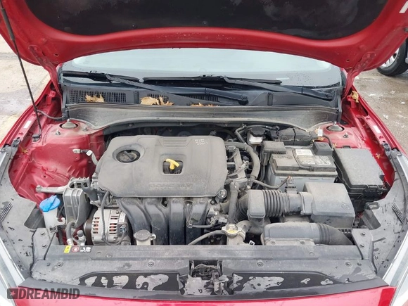 2019 Kia Forte S with VIN 3KPF34AD0KE106484, listed as a IAAI auction lot 41491835 with 111,167 mi miles. Bid and sale history available at carsss.com. Image 10.