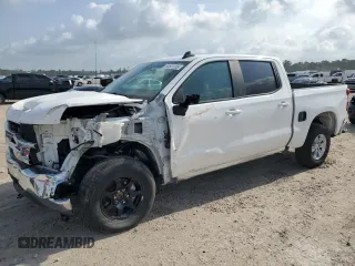 2019 Chevrolet Silverado 1500 LT with VIN 3GCPYDEK9KG115624, listed as a Copart auction lot 55501285 with 166,550 mi miles and Clean Title. Bid and sale history available at carsss.com. Image 1.