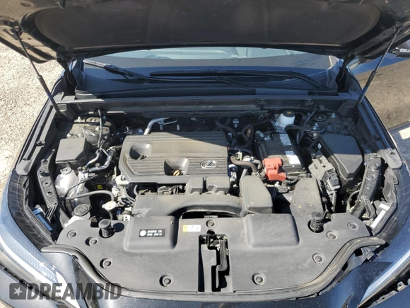 2024 Lexus NX 250 с VIN 2T2ADCAZ4RC009662, выставлен на аукционе Copart как лот 52331615 с пробегом 40 496 миль миль и Списание • Salvage title. История ставок и продаж доступна на DreamBid. Изображение 13.