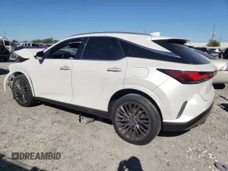 2024 Lexus RX with VIN JTJCJMGA9R2021167, listed as a Copart auction lot 48901845 with 6,514 mi miles and Salvage Title. Bid and sale history available at carsss.com. Image 2.