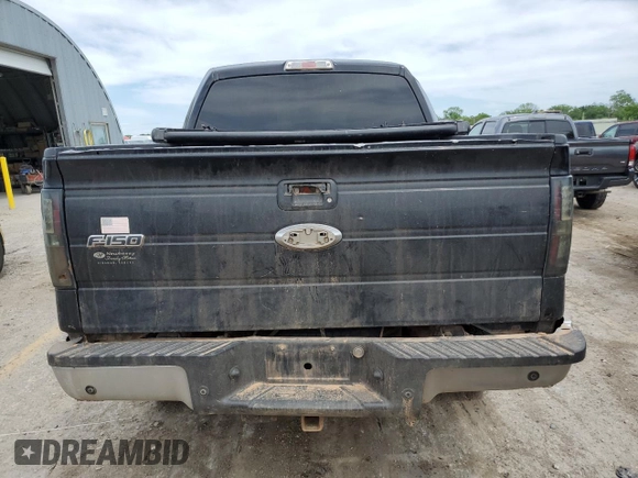 2009 Ford F-150 XL with VIN 1FTPW14V69FB18458, listed as a Copart auction lot 55684195 with 338,034 mi miles and Salvage title. Bid and sale history available at DreamBid. Image 6.