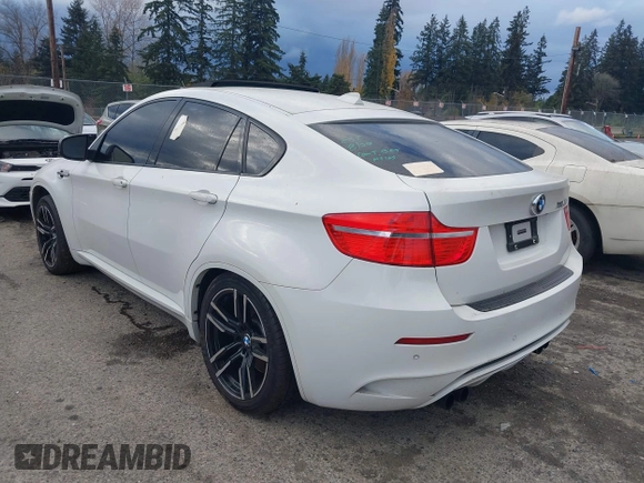 2010 BMW X6 M with VIN 5YMGZ0C52ALK13325, listed as a IAAI auction lot 40819581 with 134,282 mi miles. Bid and sale history available at carsss.com. Image 3.
