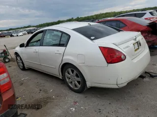 2006 Nissan Maxima SL with VIN 1N4BA41E86C866503, listed as a Copart auction lot 55336855 with Not provided miles and Salvage title. Bid and sale history available at DreamBid. Image 2.
