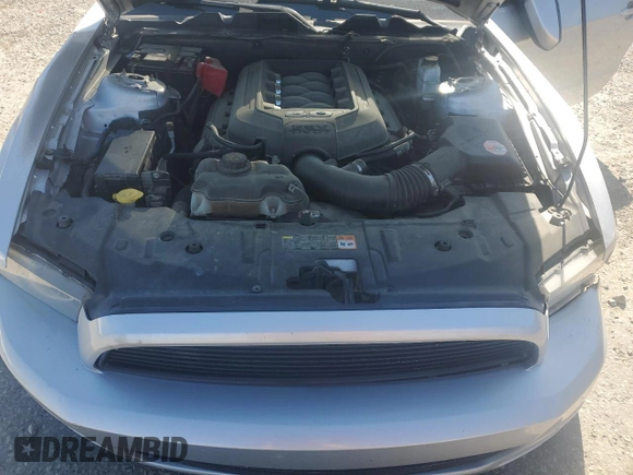 2013 Ford Mustang GT with VIN 1ZVBP8CF2D5283929, listed as a Copart auction lot 53092815 with 112,460 mi miles and Clean title. Bid and sale history available at DreamBid. Image 12.