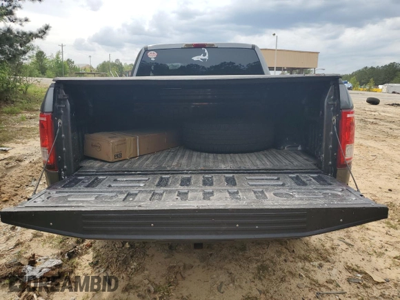 2016 Ford F-150 XLT with VIN 1FTFX1EG6GFD57577, listed as a Copart auction lot 53896125 with Not provided miles and Salvage title. Bid and sale history available at DreamBid. Image 6.