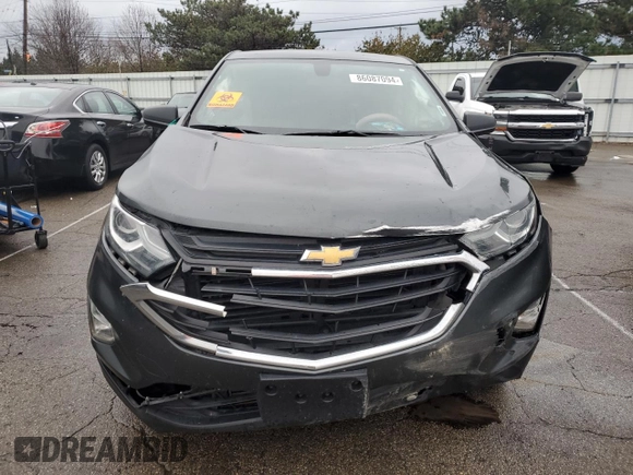 2019 Chevrolet Equinox LS z VIN 3GNAXHEV4KS636331, wystawiony jako Copart lot #86087094 z przebiegiem 109 875 mil mil oraz Szkoda całkowita • Salvage title. Historia ofert i sprzedaży dostępna na DreamBid. Obrazek 5.