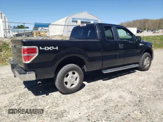 2013 Ford F-150 XL with VIN 1FTFX1EF4DFB87061, listed as a Copart auction lot 55293955 with 204,468 mi miles and Clean Title. Bid and sale history available at carsss.com. Image 3.