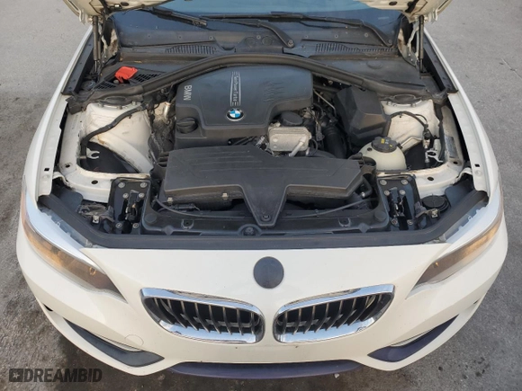 2016 BMW 2 Series 228i xDrive with VIN WBA1G9C50GV599116, listed as a Copart auction lot 49490515 with 106,527 mi miles and Clean Title. Bid and sale history available at carsss.com. Image 11.