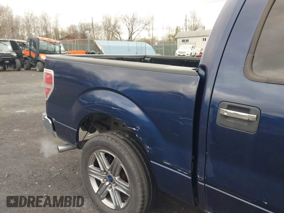 2009 Ford F-150 XL with VIN 1FTPW12V59FA18709, listed as a IAAI auction lot 42053057 with 156,035 mi miles. Bid and sale history available at carsss.com. Image 6.