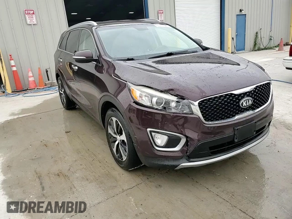 2016 Kia Sorento EX with VIN 5XYPH4A5XGG068691, listed as a Copart auction lot 60444925 with 163,390 mi miles and Salvage title. Bid and sale history available at DreamBid. Image 14.