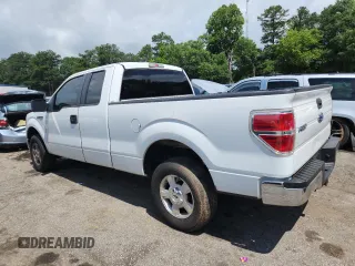 2009 Ford F-150 XL with VIN 1FTPX14V79FA01064, listed as a Copart auction lot 61351105 with 305,793 mi miles and Clean title. Bid and sale history available at DreamBid. Image 2.
