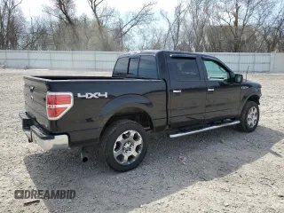 2010 Ford F-150 XL with VIN 1FTFW1EV2AFD23600, listed as a Copart auction lot 54312395 with 250,649 mi miles and Clean Title. Bid and sale history available at carsss.com. Image 3.