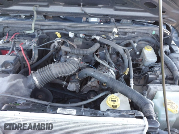 2008 Jeep Wrangler X with VIN 1J4FA24128L533316, listed as a IAAI auction lot 41750343 with 187,872 mi miles and . Bid and sale history available at DreamBid. Image 10.