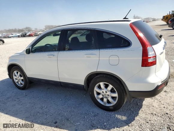 2008 Honda CR-V EX-L with VIN JHLRE48738C044282, listed as a Copart auction lot 48811825 with 182,840 mi miles and Salvage Title. Bid and sale history available at carsss.com. Image 2.