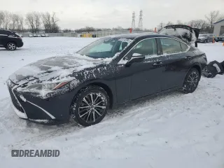 2022 Lexus ES 250 with VIN 58AD11D13NU009187, listed as a Copart auction lot 87378294 with 46,736 mi miles and Salvage title. Bid and sale history available at DreamBid. Image 1.