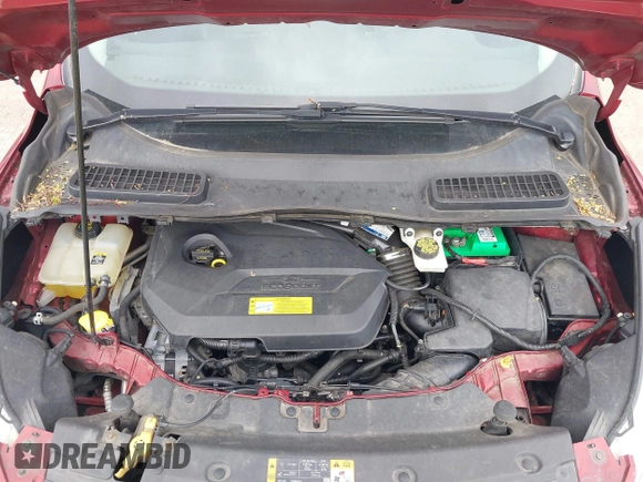 2013 Ford Escape SE with VIN 1FMCU9GXXDUB73916, listed as a IAAI auction lot 42086263 with 176,226 mi miles and . Bid and sale history available at DreamBid. Image 10.