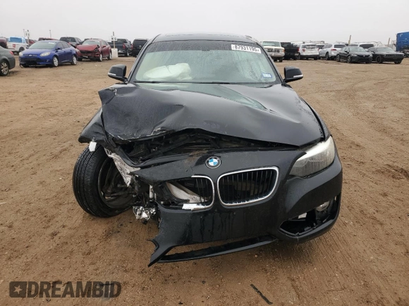 2014 BMW 2 Series 228i with VIN WBA1F5C5XEVV99178, listed as a Copart auction lot 87931195 with Not Provided miles and Salvage Title. Bid and sale history available at carsss.com. Image 5.