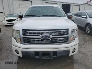 2010 Ford F-150 XL with VIN 1FTFW1CV4AFB08187, listed as a Copart auction lot 44710245 with 179,180 mi miles and Salvage Title. Bid and sale history available at DreamBid. Image 5.