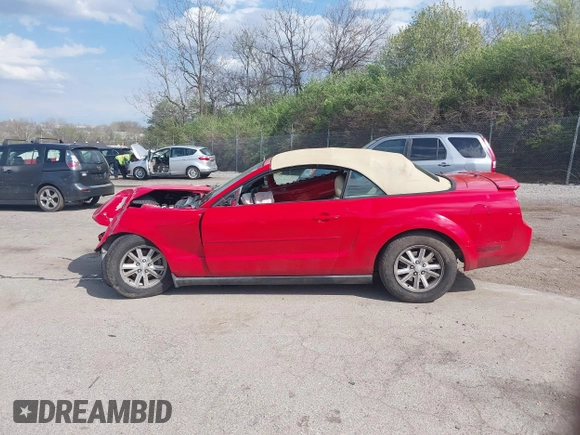 2008 Ford Mustang Deluxe with VIN 1ZVHT84N585152012, listed as a IAAI auction lot 42041018 with 87,513 mi miles and . Bid and sale history available at DreamBid. Image 15.