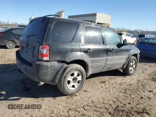 2006 Ford Escape Limited with VIN 1FMYU04196KA34229, listed as a Copart auction lot 46709785 with 203,203 mi miles and Salvage title. Bid and sale history available at DreamBid. Image 3.