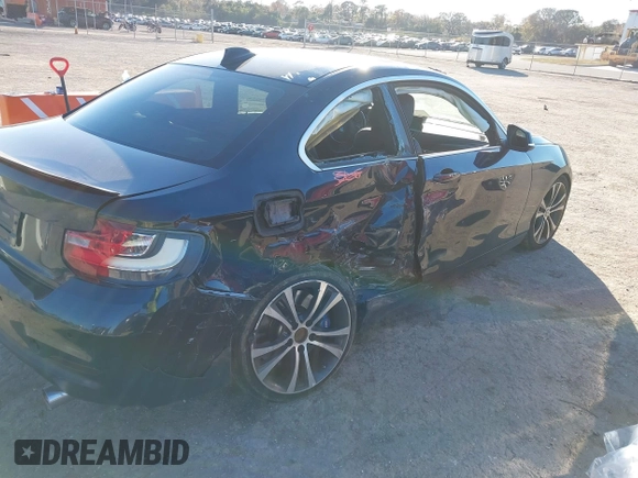 2015 BMW 2 Series 228i with VIN WBA1F5C53FV257153, listed as a IAAI auction lot 41294335 with 99,919 mi miles. Bid and sale history available at carsss.com. Image 4.
