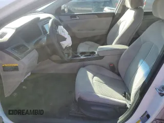 2016 Hyundai Sonata SE with VIN 5NPE24AF1GH359168, listed as a Copart auction lot 54137245 with Not Provided miles and Salvage Title. Bid and sale history available at carsss.com. Image 7.