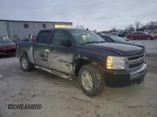 2009 Chevrolet Silverado 1500 LT with VIN 3GCEK23319G196489, listed as a Copart auction lot 87068324 with Not Provided miles and Salvage Title. Bid and sale history available at DreamBid. Image 4.