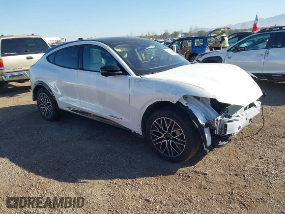 2024 Ford Mustang Mach-E Premium with VIN 3FMTK3R78RMA37392, listed as a IAAI auction lot 41636147 with 2,028 mi miles and . Bid and sale history available at DreamBid. Image 1.