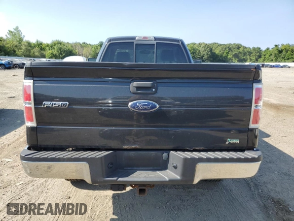 2010 Ford F-150 with VIN 1FTPF1EV4AKA66581, listed as a Copart auction lot 65818635 with 155,430 mi miles and Clean title. Bid and sale history available at DreamBid. Image 6.
