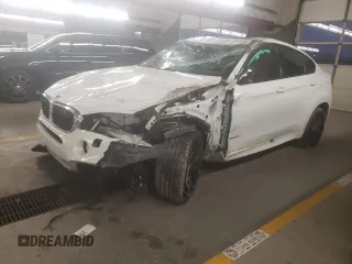 2017 BMW X6 xDrive35i with VIN 5UXKU2C37H0U29578, listed as a Copart auction lot 85784934 with 0 mi miles and Salvage Title. Bid and sale history available at carsss.com. Image 1.