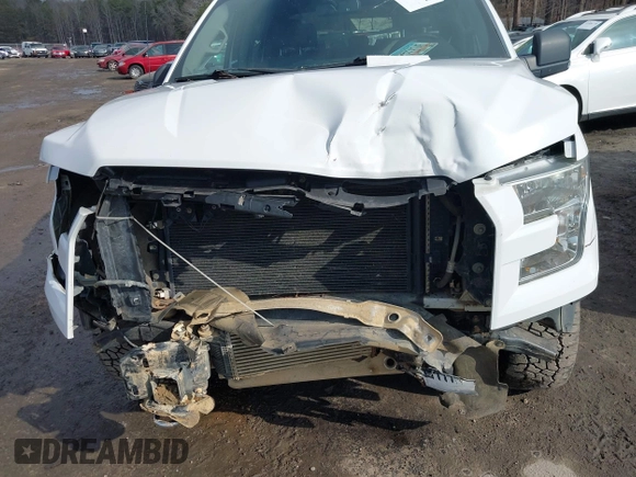 2016 Ford F-150 XLT with VIN 1FTFW1EG9GFC01505, listed as a IAAI auction lot 41534892 with 156,150 mi miles. Bid and sale history available at carsss.com. Image 19.