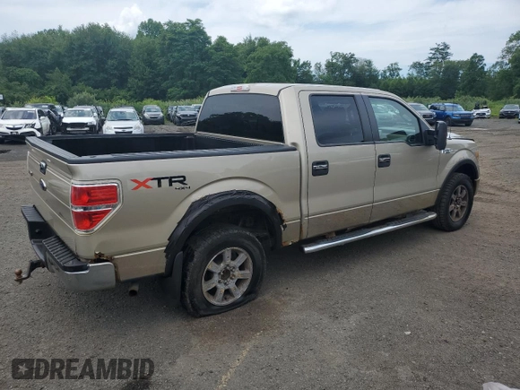 2010 Ford F-150 XL with VIN 1FTEW1E88AFD58115, listed as a Copart auction lot 62996725 with 179,894 mi miles and Clean title. Bid and sale history available at DreamBid. Image 3.