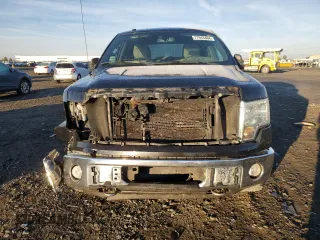 2010 Ford F-150 XL with VIN 1FTFW1EV9AFD21293, listed as a Copart auction lot 77943404 with 123,165 mi miles and Salvage title. Bid and sale history available at DreamBid. Image 5.