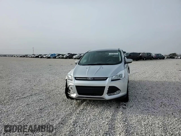 2014 Ford Escape SE with VIN 1FMCU0GX7EUD32727, listed as a Copart auction lot 44636225 with 133,296 mi miles and Salvage Title. Bid and sale history available at carsss.com. Image 10.