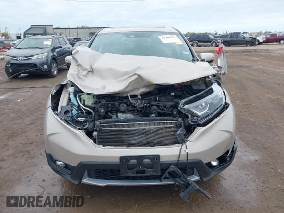 2019 Honda CR-V EX with VIN 5J6RW1H56KL002651, listed as a IAAI auction lot 41306997 with 50,510 mi miles. Bid and sale history available at carsss.com. Image 12.